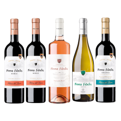 CONOCE NUESTROS VINOS