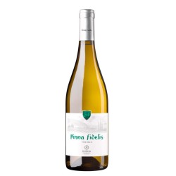 VERDEJO PINNA FIDELIS 2015