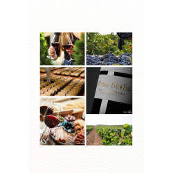 VISITA A BODEGA + DEGUSTACIÓN
