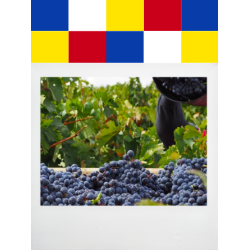 VISITA A BODEGA + CATA PREMIUM