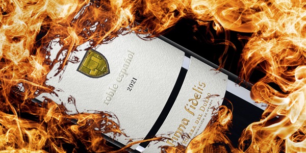 Pinna Fidelis Roble Español obtiene 90 puntos en la Guía Peñín 2025