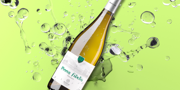 Pinna Fidelis presenta su nueva añada de Verdejo sobre lías: frescura y volumen 
