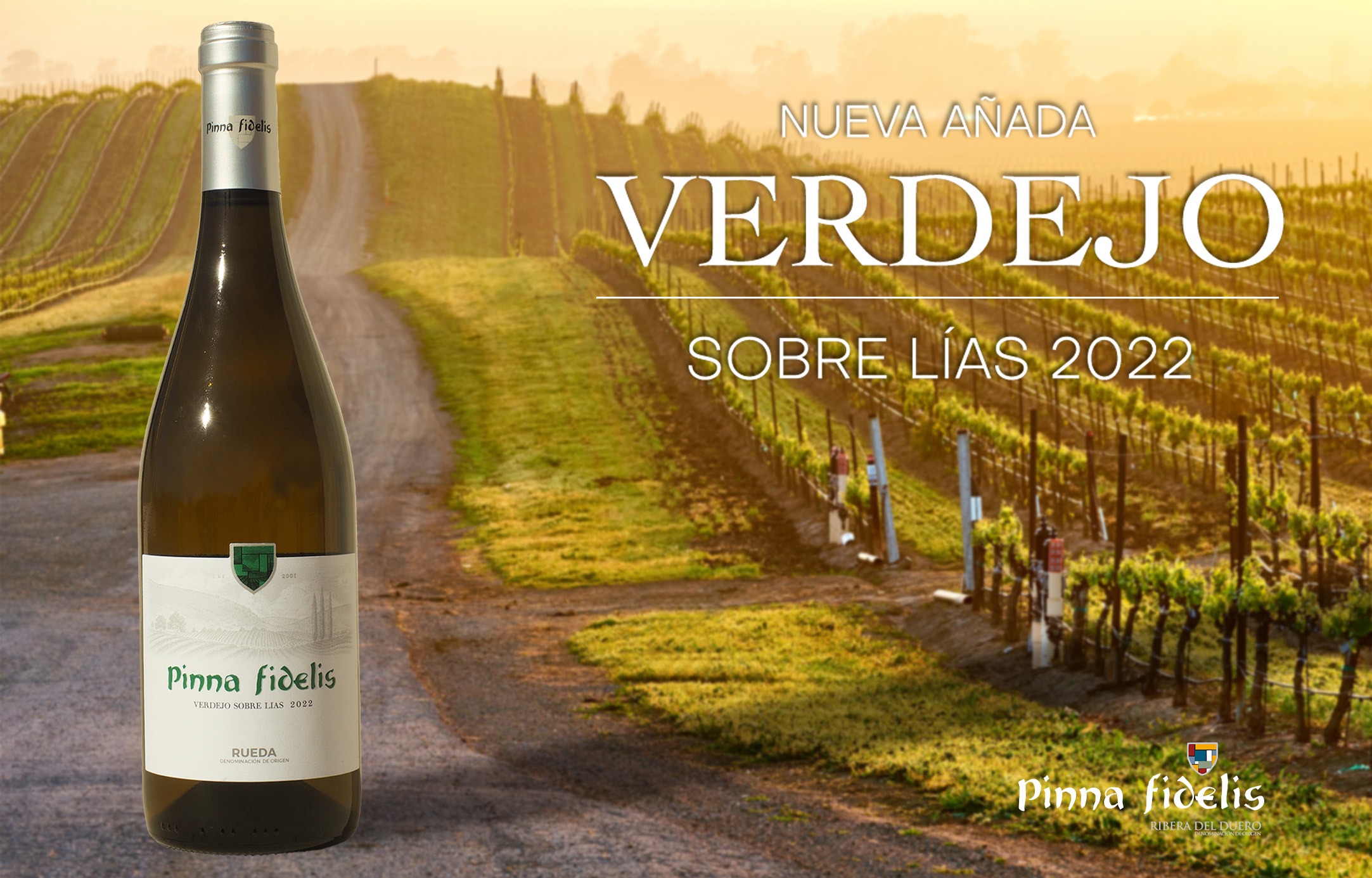 Pinna Fidelis presenta la nueva añada de su verdejo sobre lías 2022